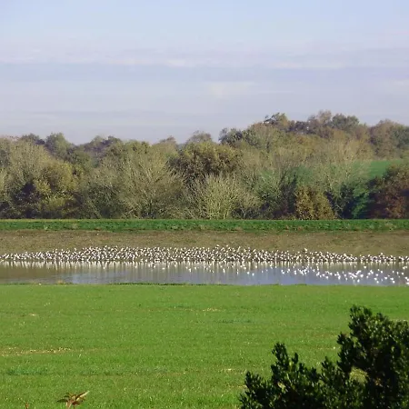 Dom wakacyjny Renove Avec Jardin Prive, Cheminee Et Wifi A Vaire, Vendee - Fr-1-426-411 Vairé