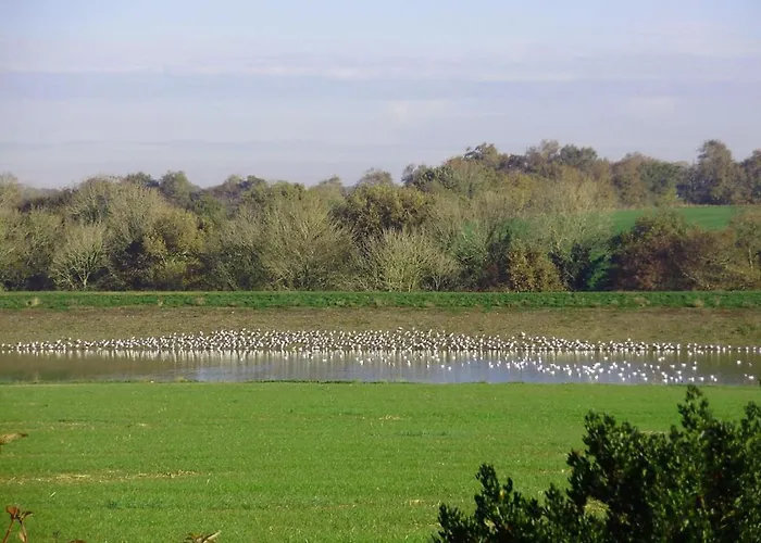 Сasa de vacaciones Rénové Avec Jardin Privé, Cheminée Et Wifi à Vairé, Vendée - Fr-1-426-411 Vairé